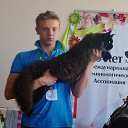 ���� ������, �����-���������, 31 ��� - ��������� 28 ����� 2016 � ������ ���� ����������