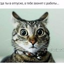 ���� �����-�, ����� - ��������� 24 ���� 2016 � ������ ������ ��������