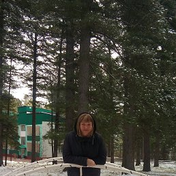 ����, ������, 46 ���