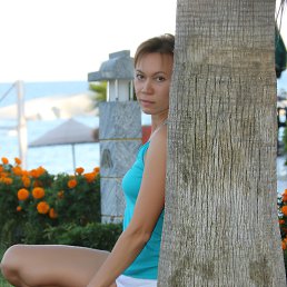 ���� �����, ������ - ��������� 29 ����� 2016