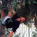  Stefano,  -  9  2016    