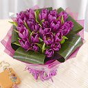 ���� **���� �� �������**, �����-��������� - ��������� 19 ���� 2016 � ������ ���� ����������