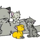 ���� ���, ������� - ��������� 31 ��� 2016 � ������ ������ ��������