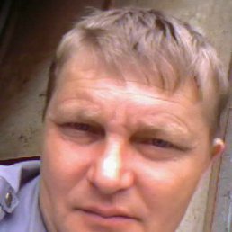 , 61, 