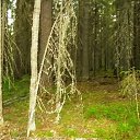 ���� ������, �����, 65 ��� - ��������� 2 �������� 2016 � ������ ������ �������� 2015�.�