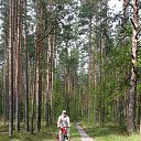 ���� ������, ���������, 63 ���� - ��������� 24 ������� 2016