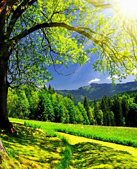 @. Меня такой природа создала... В душе и сердце - киловатты света... И мне не жаль душевного тепла, ...