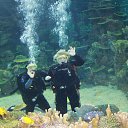 ���� �������, ����, 58 ��� - ��������� 14 ����� 2016 � ������ ���� ����������