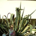 ���� ������, ������-��-����, 59 ��� - ��������� 18 ������� 2016 � ������ ���������� ���!!!!!!�