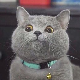 �����, ������, 44 ����