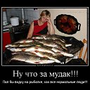 ���� ����, ������ - ��������� 31 ������� 2016 � ������ �������� � ����