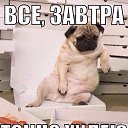 ���� ������, �����, 39 ��� - ��������� 7 �������� 2016 � ������ ���� ����������