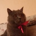 ���� Princess Keks, ������ - ��������� 12 ������� 2016 � ������ ������ ��������