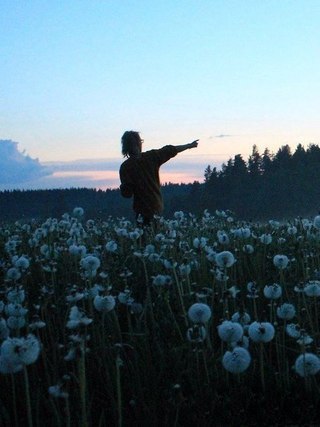   . . . - 30  2016  14:40