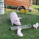 ���� ���������, �����-���������, 55 ��� - ��������� 9 ������ 2016 � ������ ���� ����������