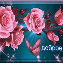 ���� ������, ������������ - ��������� 2 ���� 2016 � ������ ���� ����������