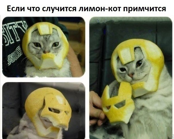 Идеи для жизни - 5 мая 2016 в 20:52