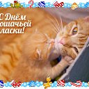 ���� ������, �����-���������, 54 ���� - ��������� 5 ���� 2016 � ������ �������� ��������