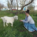 ���� ��������, ������������, 38 ��� - ��������� 13 ���� 2016 � ������ ���� ����������