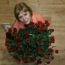 ���� �����, ����������� - ��������� 12 ��� 2016 � ������ ���� ����������