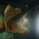 ���� ������, ������, 73 ���� - ��������� 31 ����� 2016 � ������ ���� ����������