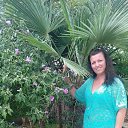  , -, 45  -  24  2016    