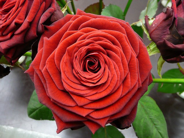     !       !       ... - 5