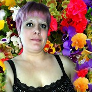 ����, 41 ���, ������