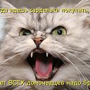 ���� ����������, ������, 33 ���� - ��������� 17 ��� 2016 � ������ �������-������