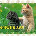 ���� ������, ��� - ��������� 9 ���� 2016 � ������ �������� ��������