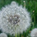 ���� �������, ���������� �����, 58 ��� - ��������� 14 ���� 2016 � ������ ���� ����������
