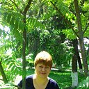 ���� �������, ������ - ��������� 2 ���� 2016 � ������ ���� ����������