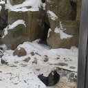 ���� ����, ������������, 35 ��� - ��������� 12 ���� 2016 � ������ �Moscow 2016 January�