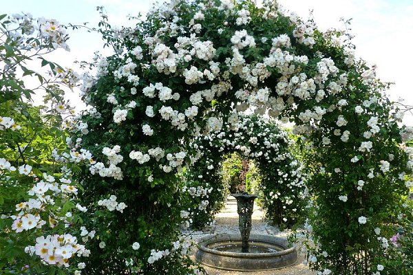���� �������� ���������(Penshurst Place & Gardens)����,��������������. ��� �������� ����������� ... - 11
