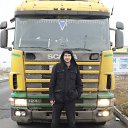 ���� ��������, �����������, 43 ���� - ��������� 1 ������ 2016 � ������ ���� ����������