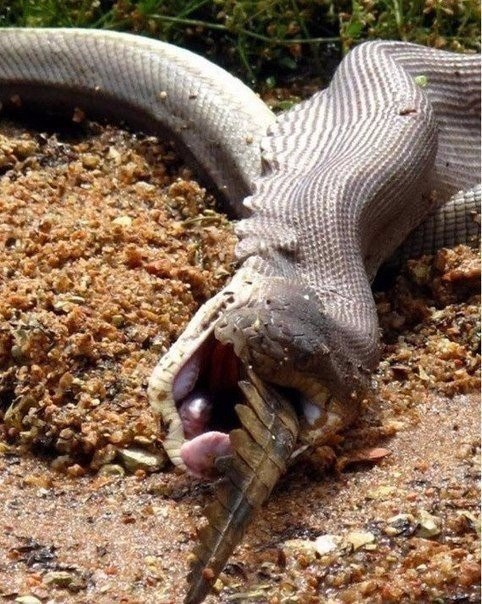   :   .        ... - 5