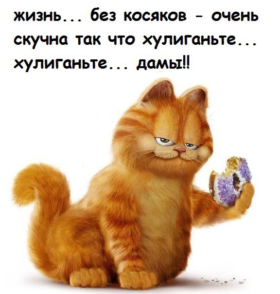  - 11  2016  10:05