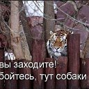 ���� �����, ����, 46 ��� - ��������� 4 ���� 2016 � ������ ������ ��������