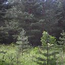 ���� ���������, �����������, 66 ��� - ��������� 20 ���� 2016 � ������ ���� ����������