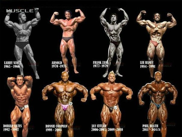  Mr. Olympia