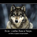 ���� �����, ���, 56 ��� - ��������� 26 ���� 2016