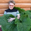 ���� �����, ��������� - ��������� 23 ��� 2016 � ������ ���� ����������