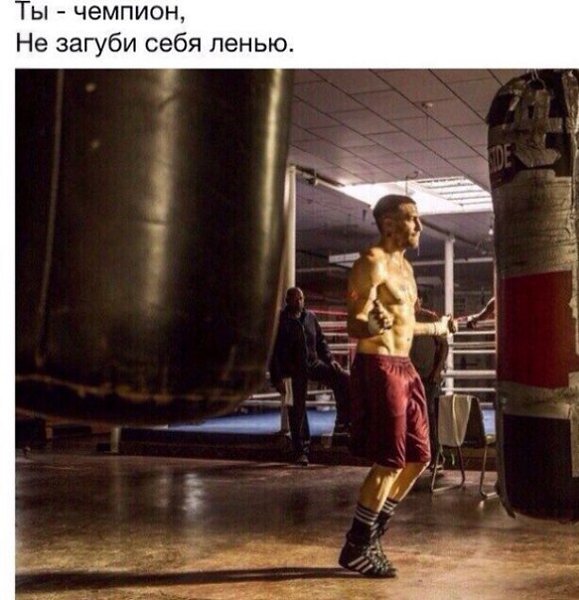  -   - 16  2016  13:01