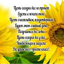 ���� ������, �����-���������, 61 ��� - ��������� 27 ���� 2016 � ������ ������ ��������