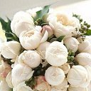 ���� ����, ���������, 57 ��� - ��������� 15 ����� 2016 � ������ ������ ��������