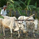 ���� Vickula, ����, 57 ��� - ��������� 28 ����� 2016 � ������ �����������