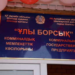 ���� ��������, �����������, 67 ���