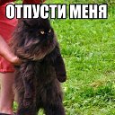 ���� �����, �����������-��-����� - ��������� 2 ������ 2016 � ������ ������ ��������