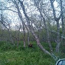 ���� ����, �������������-���������� - ��������� 27 ���� 2016 � ������ �1�