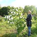 ���� �������, ������ - ��������� 3 ���� 2016